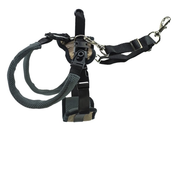 💕NWT Rear Harness - Picture 5 of 9